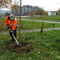 Akcija ozelenjavanja školskih dvorišta povodom Svetskog dana zaštite životne sredine