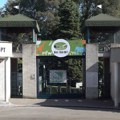 Retke egzotične zveri stižu u Beograd Novine u zoološkom vrtu do kraja godine, a 2026. dolazi ova grdosija!