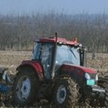 Poljoprivrednici: Suša u Srbiji smanjila rod, a otkupne cene žitarica kao pre desetak godina
