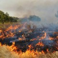 Izbio požar u niskom rastinju, vatrogasac lakše povređen