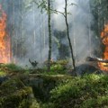 Kako klimatske promene utiču na putno osiguranje