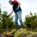 Kako klimatske promene utiču na privredu Srbije