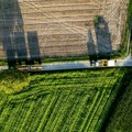 Trgovina oranicama u Vojvodini: paori se žale na investitore