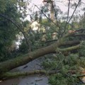 Apokaliptične scene kod Čačka: Olujno nevreme okovalo grad, vetar čupao drveće iz korena, blokiran put ka Ovčar Banji (foto)…