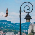 U subotu Skokovi sa starog železničkog mosta (VIDEO)