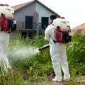 Koncentracija polena osam puta veća od graničnih vrednosti – smo svi nadležni za suzbijanje ambrozije