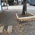 Posle godinu dana, Beograd put sad obećava da će staze za slabovidu decu u Zemunu popraviti „u narednih 15 dana“
