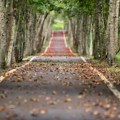 Jutro hladno, tokom dana sunčani intervali – temperatura do 18 stepeni