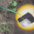 Za njih ne postoji nemoguće: Vatrogasci spasili psa koji je upao u septičku jamu, pogledajte herojsku akciju