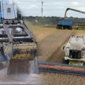 Ruski potez diže cenu žita: Očekuje se globalno poskupljenje do 15 odsto, kako će se ova promena odraziti na Srbiju