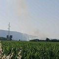 Požar kod Trupalskih šuma lokalizovan, nije bilo povređenih