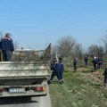 Zrenjanin godinama zanemaruje važno pitanje: Nula dinara za podizanje vetrozaštitnih pojaseva