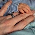 Лесковац богатији за још четири бебе