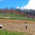 Ove godine subvencije za poljoprivrednike u Kuršumliji 18 miliona dinara