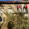 Nova stolarija i fasada: Radovi na OŠ "Živojin Perić" u Trstenici kod Obrenovca