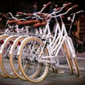Zrenjanin i ove godine sufinansira nabavku novih bicikala Evo kolike će biti subvencije grada