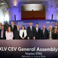 Knežević prvi potpredsednik CEV-a, Mešter član Administativnog borda FIVB