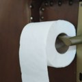 Nemci masovno po kancelarijama i domovima stavljaju rolne toalet papira na kvake. Mali kućni trik štiti vas od dve stvari.