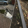 PISMA ČITALACA: Nekada lepo naselje, danas blato i smeće – ko održava Ulicu dr Laze Kostića? Ulica dr Laze Kostića