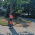 JKP Mediana: Planirani radovi na uređenju grada