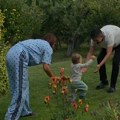 "Prohodao na svojoj dedovini, na Kosovu i Metohiji" Milan Vasić podelio emotivan snimak iz dvorišta rodne kuće: Mali Despot…