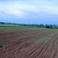Javni poziv: Opština Malo Crniće daje u zakup poljoprivredno zemljište