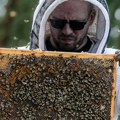 Uvode se nova pravila – ušteda za pčelare i do sto evra