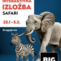 Interaktivna Safari izložba za decu od sutra u Big Fashionu