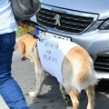 Naslovne strane za subotu, 3. maj, 2025. godine