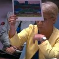 Delije završile u Ujedinjenim nacijama: Predstavnica tzv. Kosova digla koreografiju i izgovorila sramne reči