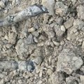 Ponovo ukradeni kablovi na brzoj pruzi Beograd–Subotica, smetnje u železničkom saobraćaju