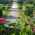 Niko ne poznaje kraj bolje od lokalaca: stiže nova platforma koja će potpuno promeniti putovanja kroz Srbiju
