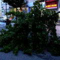 Prioritet uklanjanje oborenih stabala! Loznica posle nevremena: Pogledajte štetu! (foto)