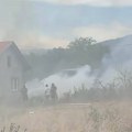 Bukti požar u Nišu: Vatra stigla do kuća, jak vetar otežava gašenje