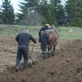 BUĐENJE U SREDNJEM VEKU