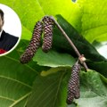 Jovan Paunović: Tokenizacija lešnika i blockchain otvaraju novo poglavlje za investitore i agrar