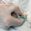 Vašington poništio ugovor sa Modernom za razvoj vakcine protiv ptičjeg gripa