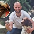Sovica je imala sreće! Bespomoćnu mrvicu koja je stajala nasred puta spasli čuvar prirode na Fruškoj gori i njegov verni pas…