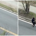 Horor snimak krvavog pira: Pomahnitali napadač rešetao automobile puškom, ima ranjenih (Uznemirujući video)