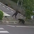Grad u Japanu zatvorio skoro 100 škola jer je na ulicama viđen medved