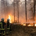 Požari u Bosni i Hercegovini na području Trebinja, Nevesinja i Trebevića