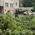 Nevreme u Sloveniji, Hrvatskoj i BiH - vetar dizao krovove i rušio stabla