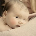 Lepe vesti u Novom Sadu: Rođeno 28 beba