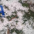 Tuklo je duže od deset minuta: Jak i krupan grad pogodio ivanjička sela, obelele livade kao da je pao sneg (FOTO)