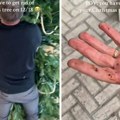 Par rešio da uštedi, pa umesto vešačke jelke postavio prirodnu: Horor koji je usledio nisu mogli ni da zamisle