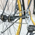 Biciklistička trka u Novom Sadu – sve što treba da znate o Gran Fondo 2025