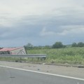 Jeziva scena na auto-putu Beograd-Niš Prevrnuo se kamion i zapalio