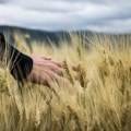Све више младих се враћа на село – шта их тамо задржава?