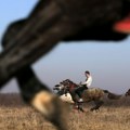 Vatrogasci spasili konja zaglavljenog na železnici u Rumuniji