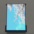 Samsung razvija telefon sa ekranom na namotavanje